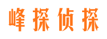 安居市婚外情调查